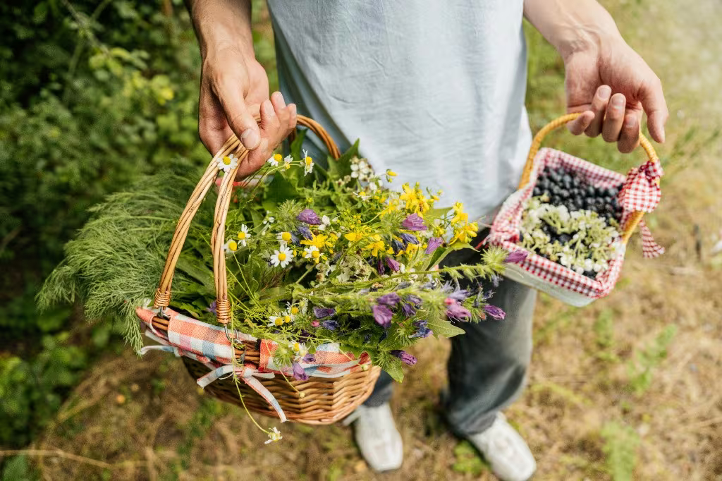 Seasonal Cuisine in Quebec, When the Harvests Lead the Menu